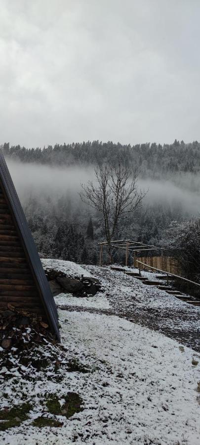 Landhaus Borjomi Exterior foto