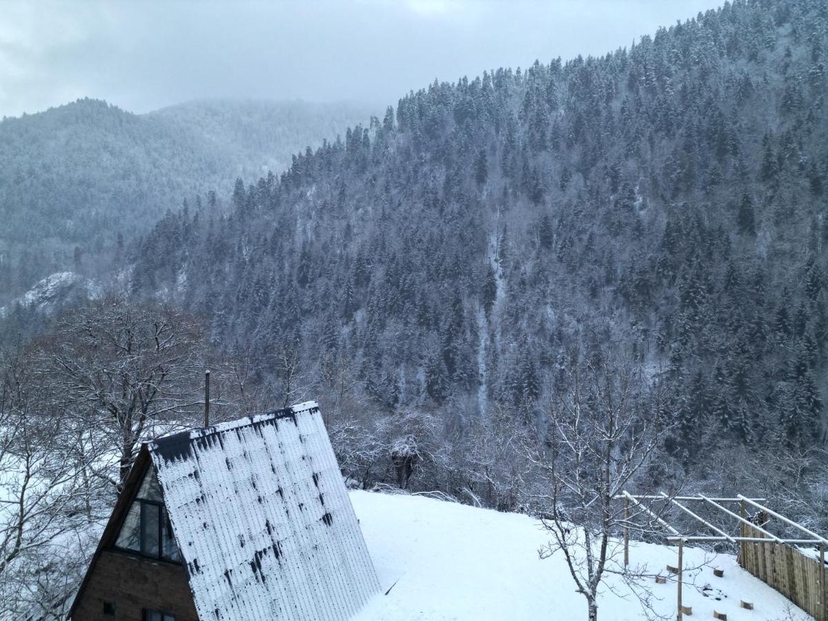 Landhaus Borjomi Exterior foto