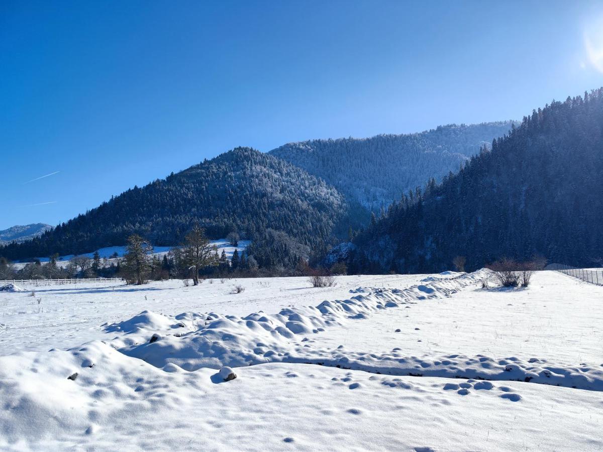 Landhaus Borjomi Exterior foto