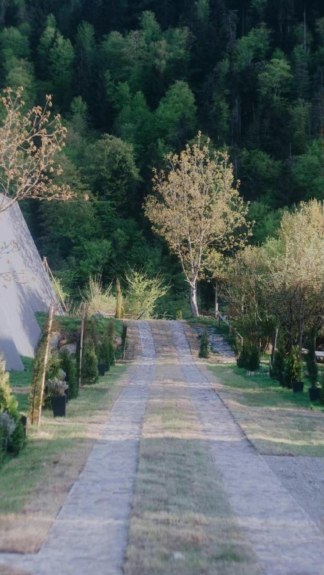Landhaus Borjomi Exterior foto